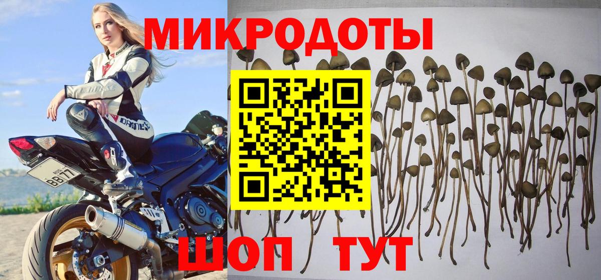 Псилоцибиновые грибы прущие грибы  Галлюциногенные грибы Cubensis  Заринск  Вход с VPN 